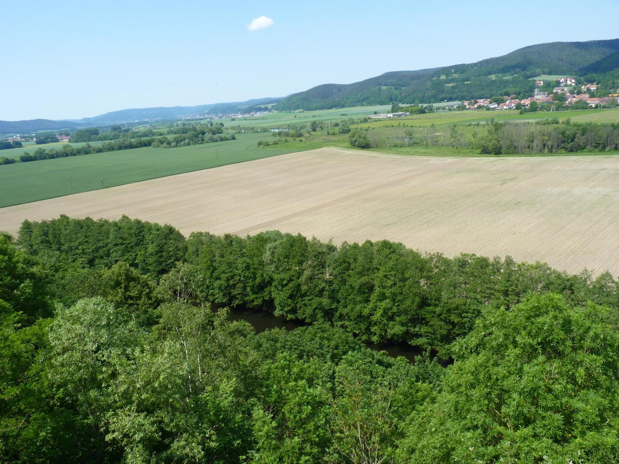 Hotel & Restaurant Schloss Weissenburg Uhlstädt 客房 照片